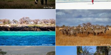 Ultimate bush and beach combo safari - Africa Geographic