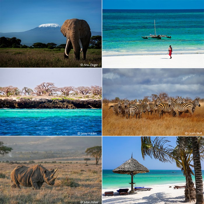 Ultimate bush and beach combo safari - Africa Geographic
