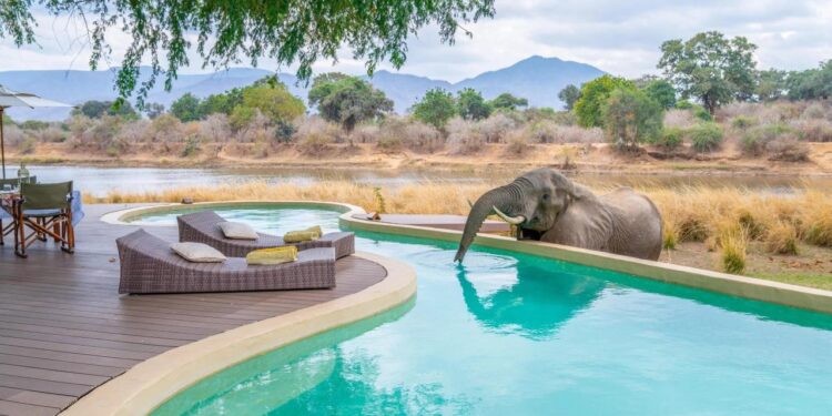 Best luxury African safari lodges for families - The Points Guy