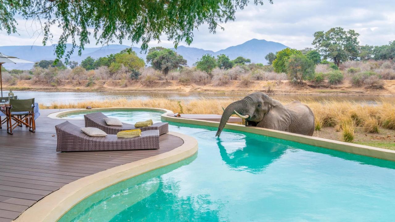 Best luxury African safari lodges for families - The Points Guy