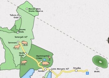 Serengeti vs Maasai Mara, Which is the Better Safari destination