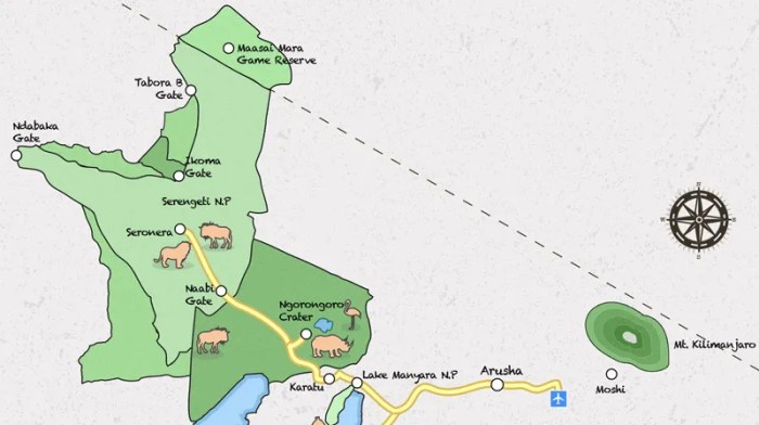 Serengeti vs Maasai Mara, Which is the Better Safari destination