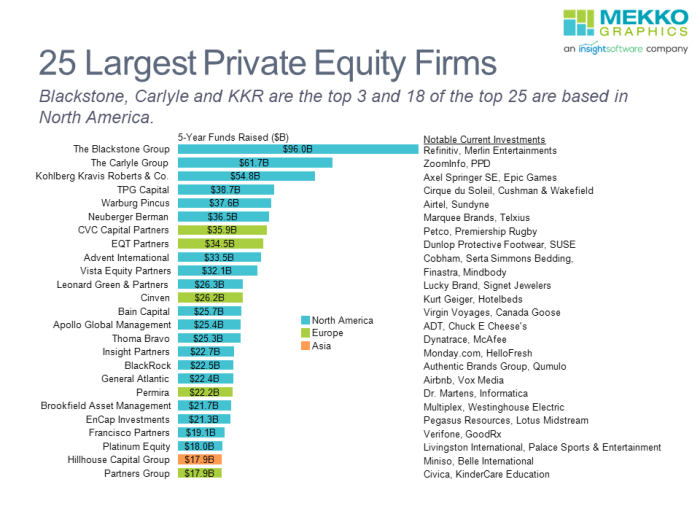 25 Largest Private Equity Firms - Mekko Graphics